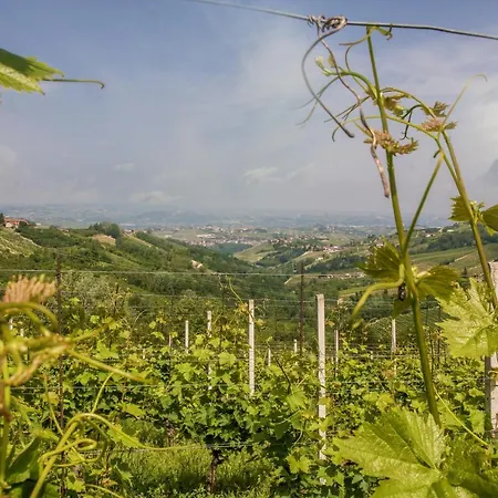 Miellò Nelle Langhe Mango