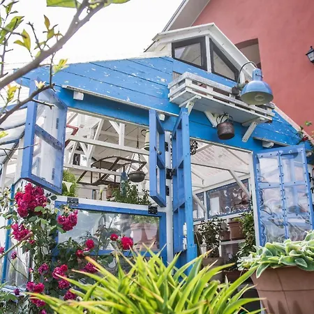 Miello Nelle Langhe Mango