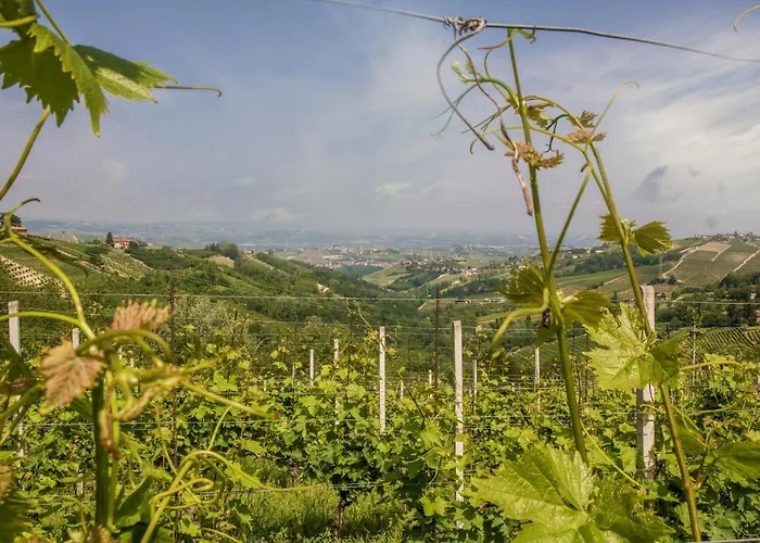 Miello Nelle Langhe Mango