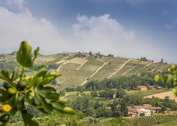 Miello Nelle Langhe 4* Mango